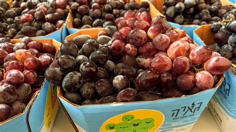 Mediterranean Fruits Grapes - Free photo on Pixabay - Pixabay