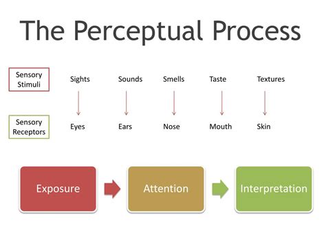 PPT - Class 5 Consumer Perception PowerPoint Presentation, free download - ID:2422173