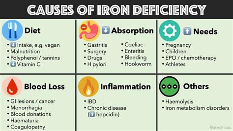 Symptoms And Causes Iron Deficiency Anemia Vector Image, 48% OFF