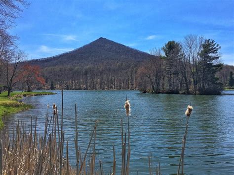 Sharp Top Mountain at the Peaks of Otter in Virginia | Virginia ...