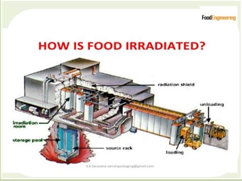 What is Food Irradiation in Food Processing