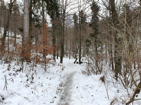 Hiking in Brasov, Hikes in the Carpathian Mountains of Romania