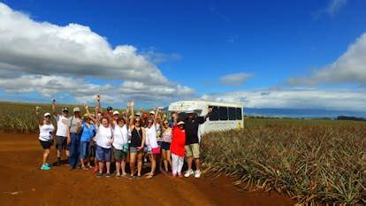 Maui Pineapple Tour | Pineapple Plantation Tours in Maui, HI