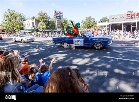 Albert and alberta gator hi-res stock photography and images - Alamy