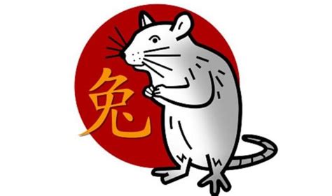 Rat Chinese zodiac sign traits: What it means to be a Rat | Express.co.uk