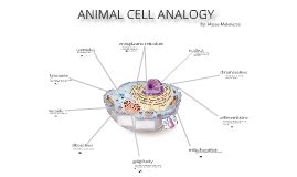 Cell Analogy Project by Alyssa Matarazzo on Prezi