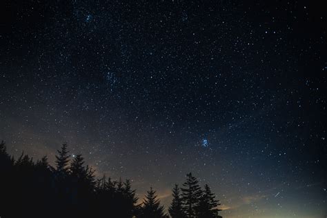 wallpaper starry sky, night, trees, night landscape HD : Widescreen ...