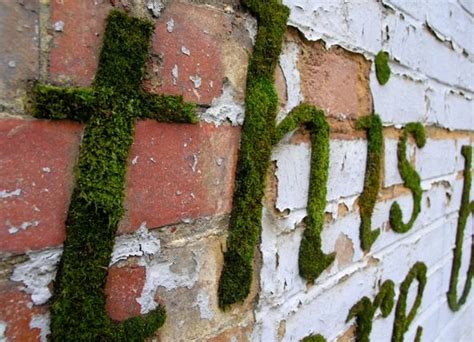 Moss Graffiti- such an awesome idea! | Moss paint, Moss graffiti, Moss