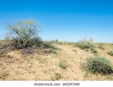 Sands Desert Spring Spring Under Scorching Stock Photo 605297240 | Shutterstock