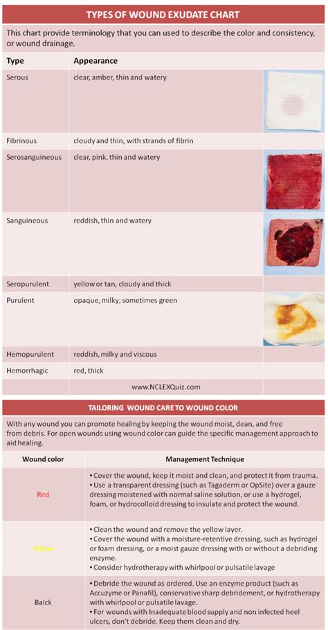 Types of Wound Exudate Cheat Sheet - NCLEX Quiz