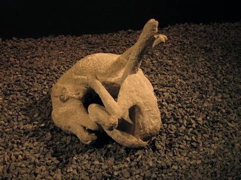 Silent Witnesses: 9 Astounding Revelations About the Bodies Discovered at the Pompeii Volcanic ...