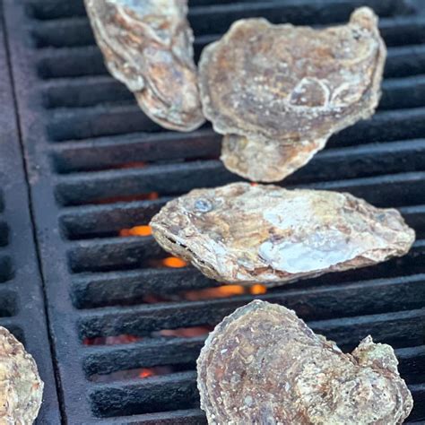 Easy Grilled Oysters with Spicy Butter Sauce - Melissa Cookston Staging