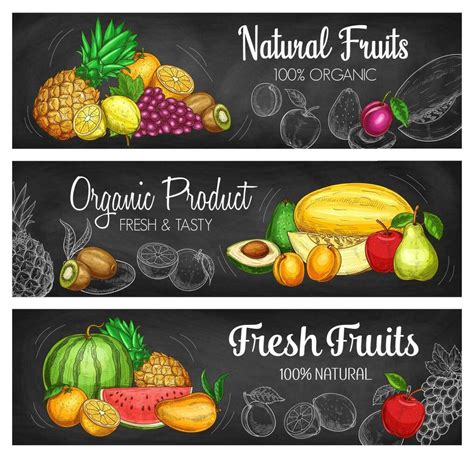 Tropical fruit and berry chalkboard banners 23512192 Vector Art at Vecteezy