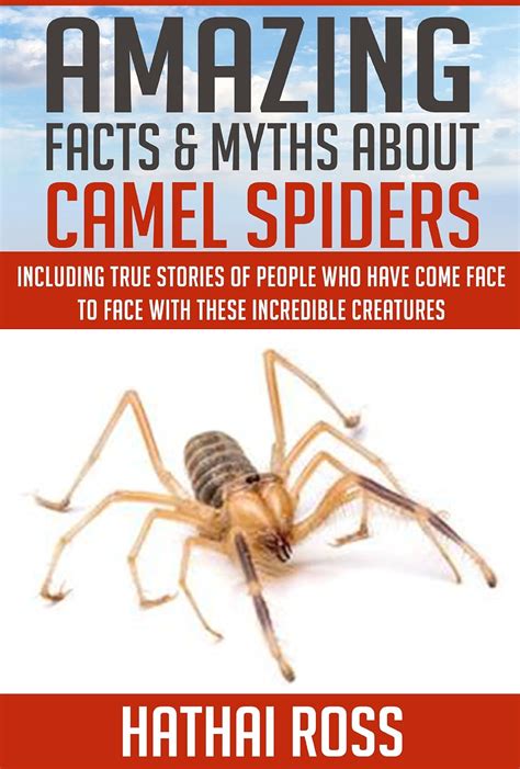 Camel Spiders: Amazing Facts and Myths About Camel Spiders - Kindle edition by Ross, Hathai ...