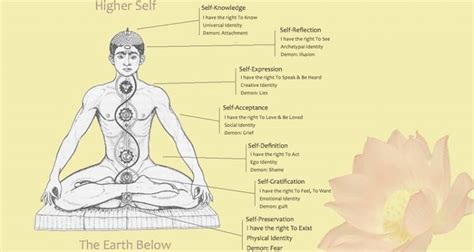 14 Principal Nadis in Yoga | Location and Ending Points