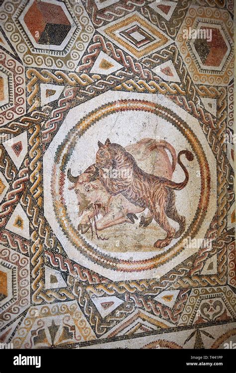 Picture of a geometric Roman mosaics design depicting lions hunting ...