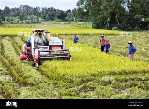 Rice Harvester Machine