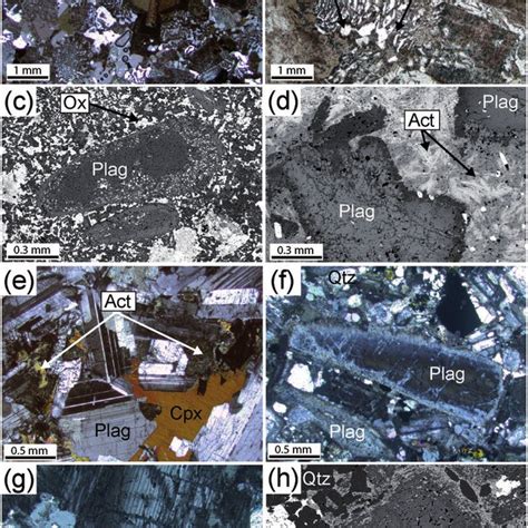 Representative photomicrographs of textures in thin section. (a) Felsic ...