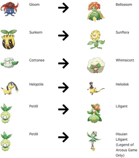 Pokemon That Evolve By Stones | PokemonCoders