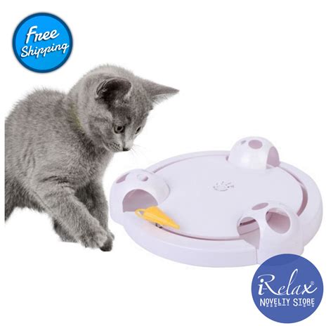Interactive Cat Toy | Interactive cat toys, Cat toys, Pets to have