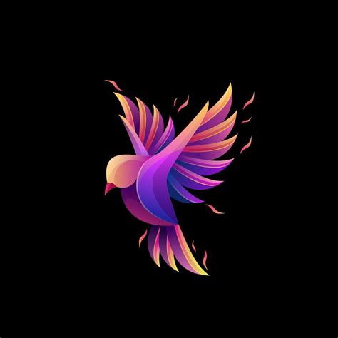 Colorful Bird logo design 6894644 Vector Art at Vecteezy