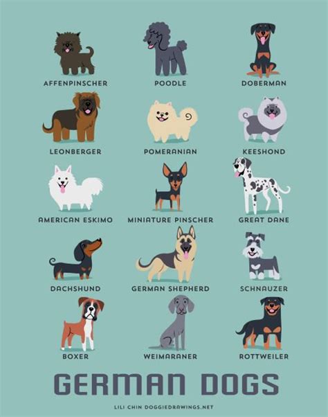 Best German Dog Names