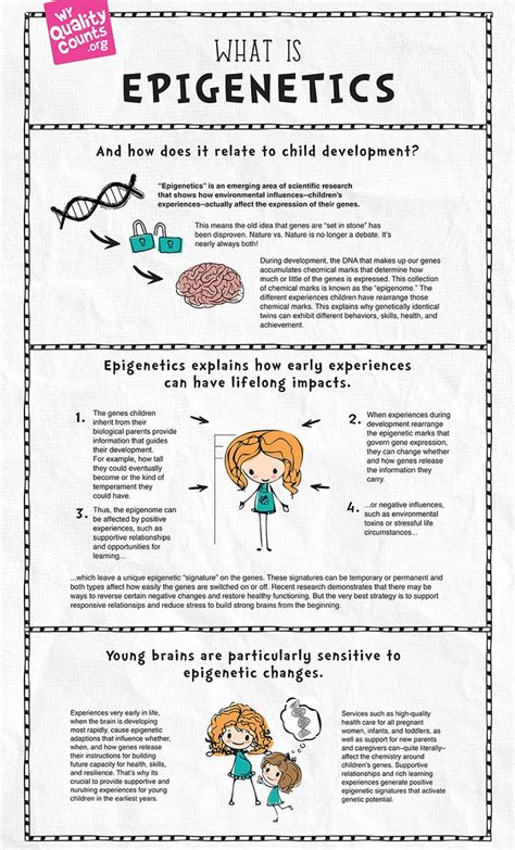 epigenetics and child development | Epigenetics, Child development ...