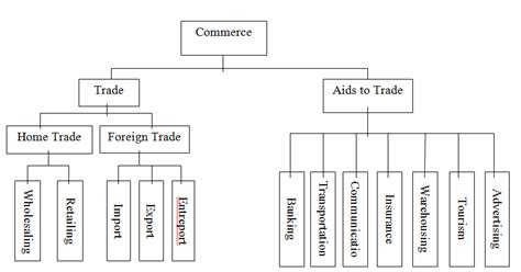 Classwork Exercise and Series (Commerce-SS1): Introduction to Commerce