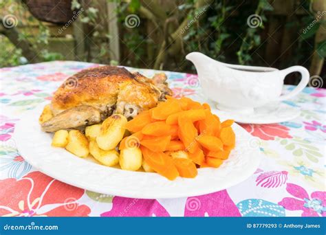 Christmas Dinner with Gravy Boat. Stock Image - Image of food, meat: 87779293