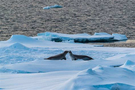 Pine Island Bay, Amundsen Sea, Antarctica – Thorsten Klein Photography