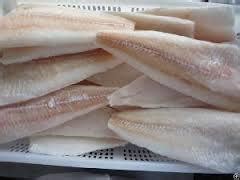 Frozen Pacific Cod Fillet at Best Price in Antalya | Turk Ticaret