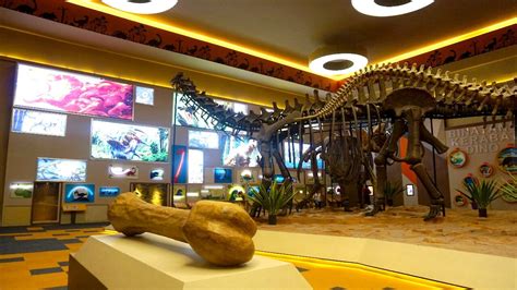 Jatim Park 3 Trial Opening: Dino Park Terbesar di Indonesia ada di Kota Batu – Ongis Travel