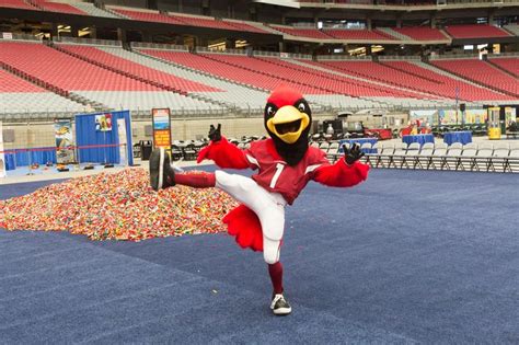 Big Red, mascot for the Arizona Cardinals, gets frisky at the Big Brick ...