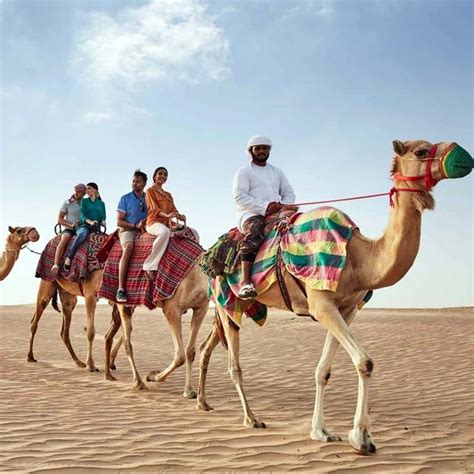 Sunrise Desert Safari Jeddah | My Saudi Tours