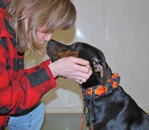 Teacher's Pet K-9 School -Pinch Collar Covers - Patented!