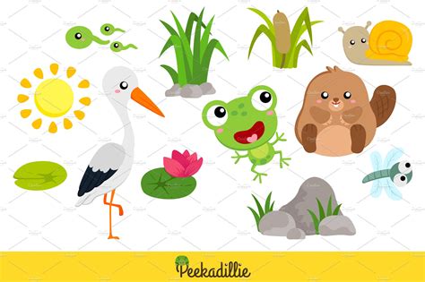 Pond Wild Animals Vector Clipart – MasterBundles