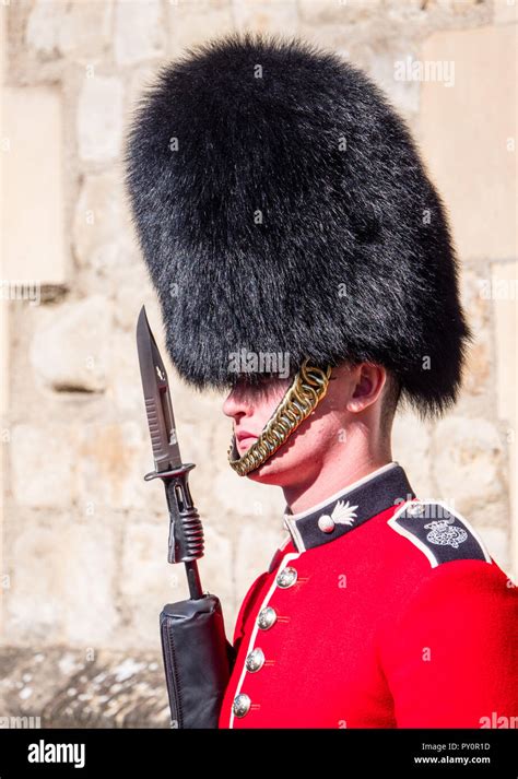 Garde royale à la Tour de Londres, à Bearskin Hat, gardant les joyaux ...