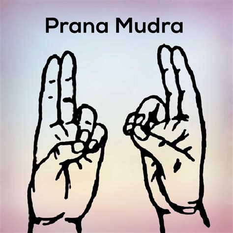 Shiva Linga Mudra Learn its Benefits and steps - nexoye