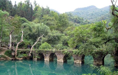 Top 10 Forests in China w. Google Earth links (II) | ChinaBlog.cc - Timeless China Blog