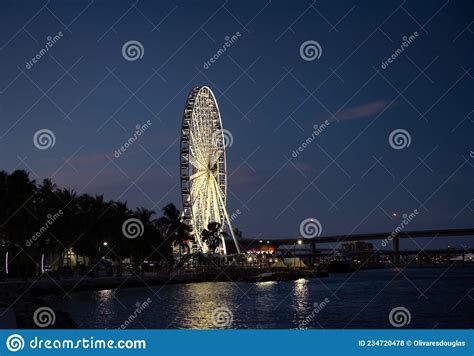 Ferris Wheel at Night in Miami Florida Editorial Stock Photo - Image of famous, illuminated ...