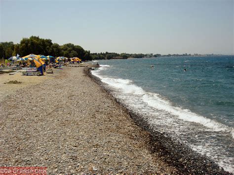 Psalidi Kos | Holidays in Psalidi Greece