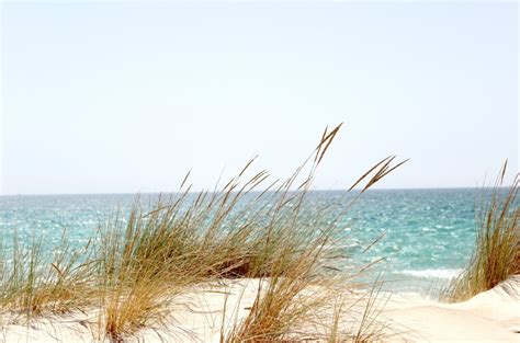 Choose Holmes Beach, Florida for Your Next Vacation Destination