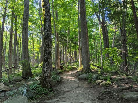 Rainbow Falls Trail - Trails Near Me