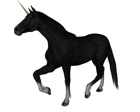 Unicorn PNG