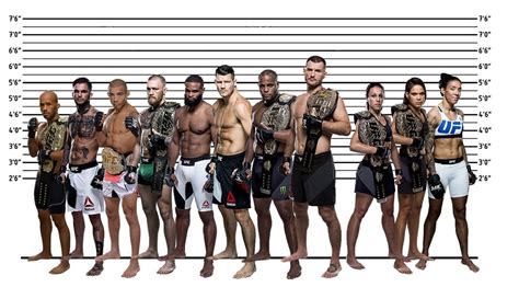 The height of UFC champions to scale, male and female. The tallest UFC ...