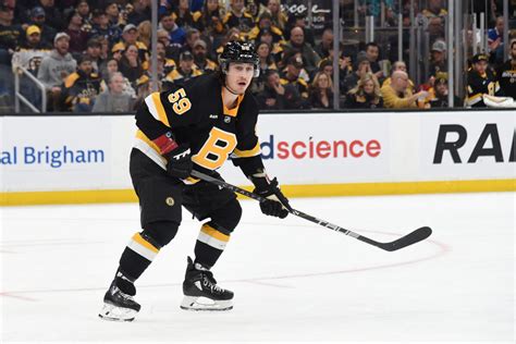 Boston Bruins 2022-23 Player Grades: Tyler Bertuzzi - The Hockey ...