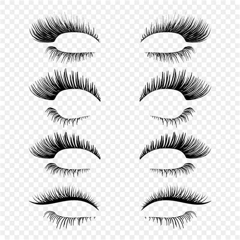 False Eyelashes White Transparent, Eyelashes False Eyelashes Beauty Makeup Set Illustration ...