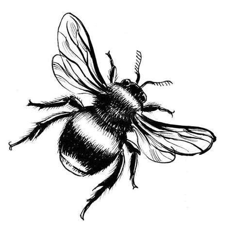 Bumblebee. Ink drawing of a bumblebee #Sponsored , #Advertisement, # ...