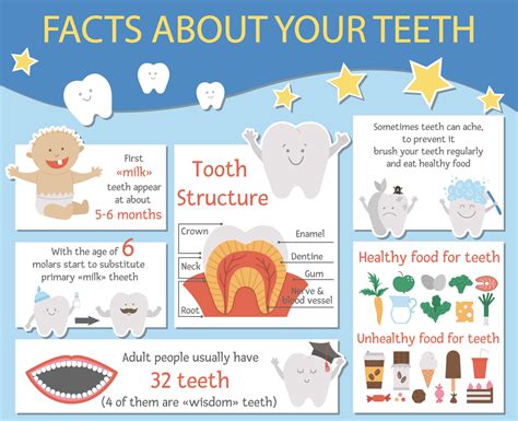 Cute dental care infographics for kids. Vector funny stomatology ...