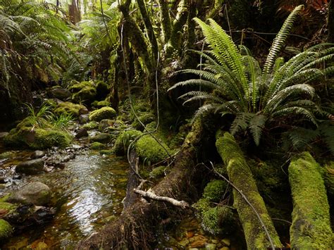 Wallpaper : landscape, photography, moss, green, rocks, wilderness ...